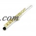 Sky C Flute with Lightweight Case, Cleaning Rod, Cloth, Joint Grease and Screw Driver - Silver/Gold Closed Hole   